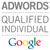 Google qualified professional